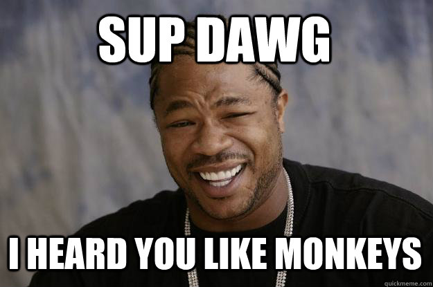 Sup Dawg I heard you like monkeys  Xzibit meme