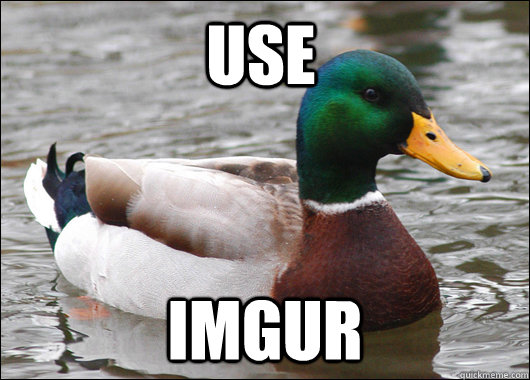 Use Imgur  Actual Advice Mallard