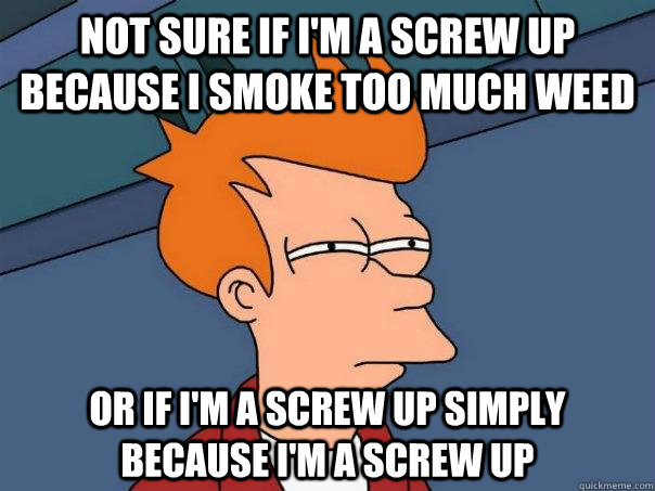 Not sure if I'm a screw up because I smoke too much weed Or if I'm a screw up simply  because I'm a screw up  Futurama Fry