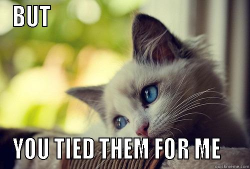 BUT                                             YOU TIED THEM FOR ME    First World Problems Cat