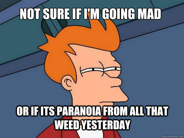 Not sure if I'm Going Mad or if its paranoia from all that weed yesterday  Futurama Fry