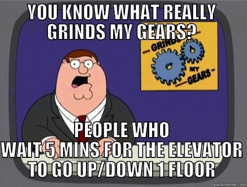 YOU KNOW WHAT REALLY GRINDS MY GEARS? PEOPLE WHO WAIT 5 MINS FOR THE ELEVATOR TO GO UP/DOWN 1 FLOOR Grinds my gears