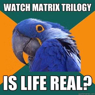 watch matrix trilogy is life real?  Paranoid Parrot