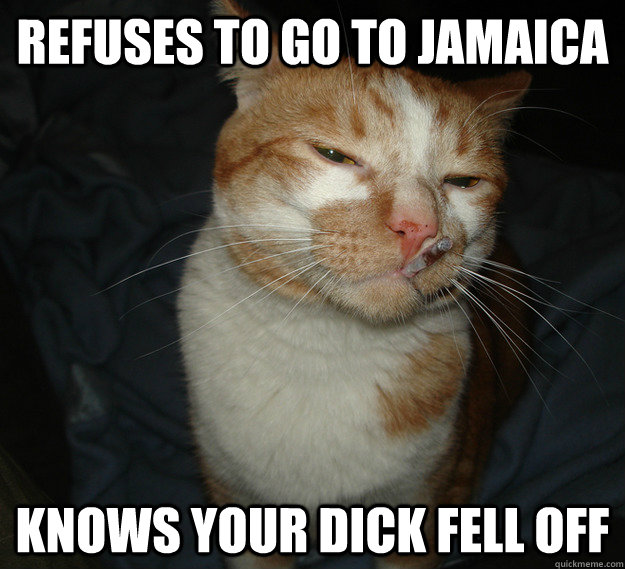 Refuses to go to jamaica knows your dick fell off  Cool Cat Craig
