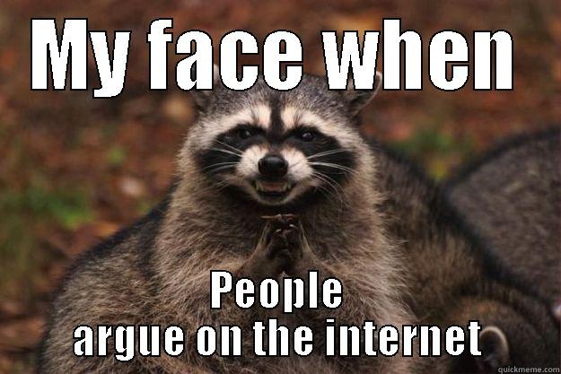 Mischievous Racoon - MY FACE WHEN PEOPLE ARGUE ON THE INTERNET Evil Plotting Raccoon