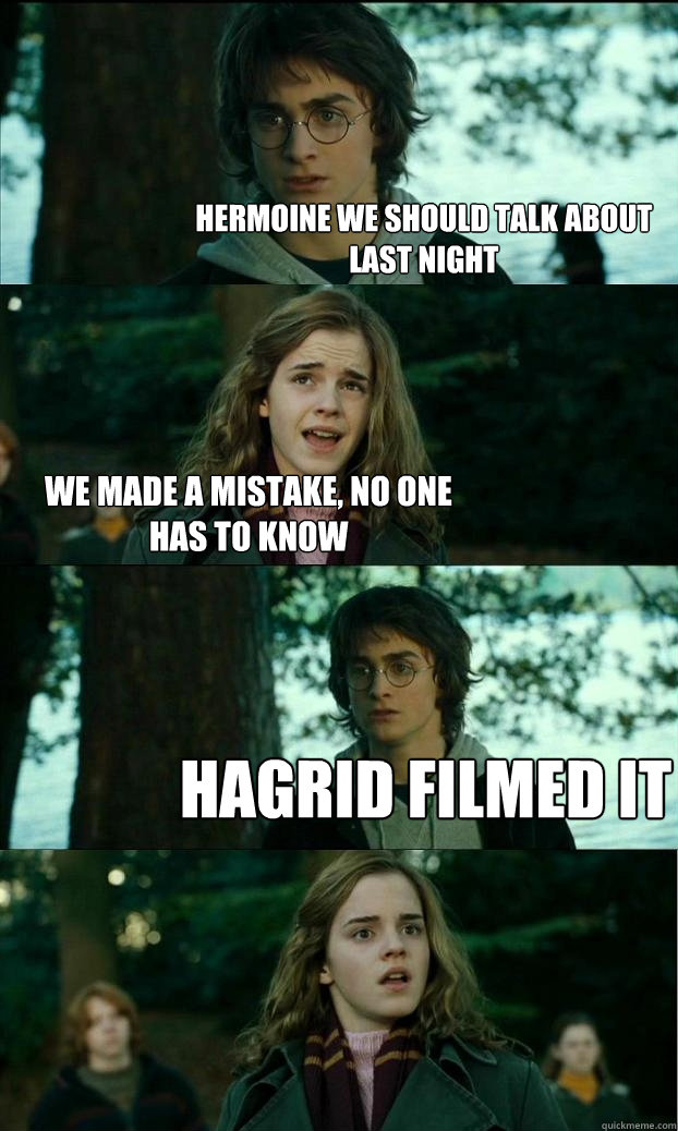 hermoine we should talk about last night We made a mistake, no one has to know Hagrid filmed it  Horny Harry