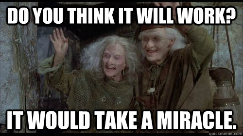 Do you think it will work? It would take a miracle. - Do you think it will work? It would take a miracle.  Misc