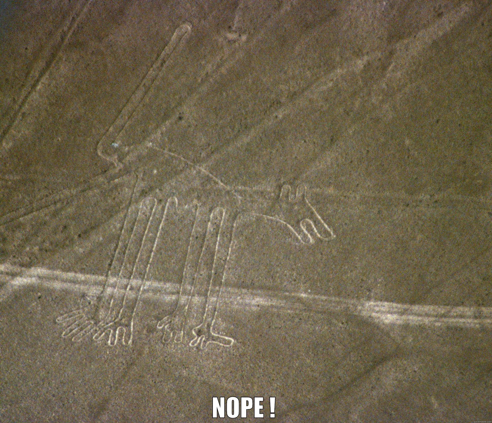  NOPE ! Misc
