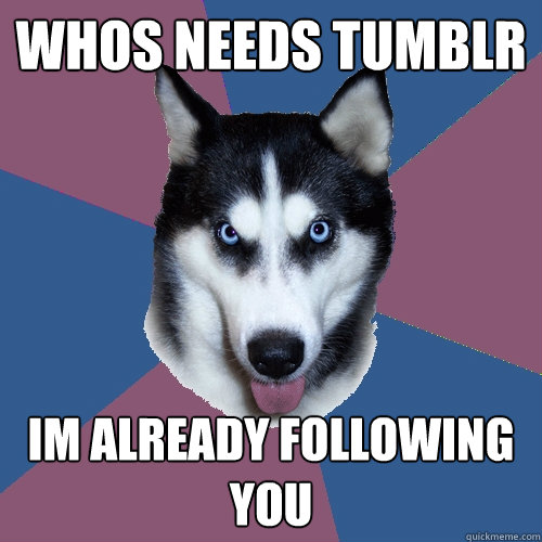 whos needs tumblr Im already following you  Creeper Canine