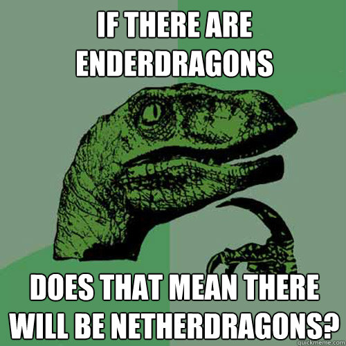 If there are Enderdragons Does that mean there will be Netherdragons? - If there are Enderdragons Does that mean there will be Netherdragons?  Philosoraptor