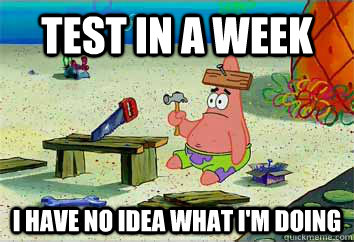 test in a week I have no idea what i'm doing  I have no idea what Im doing - Patrick Star