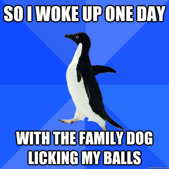 so i woke up one day with the family dog licking my balls  Socially Awkward Penguin