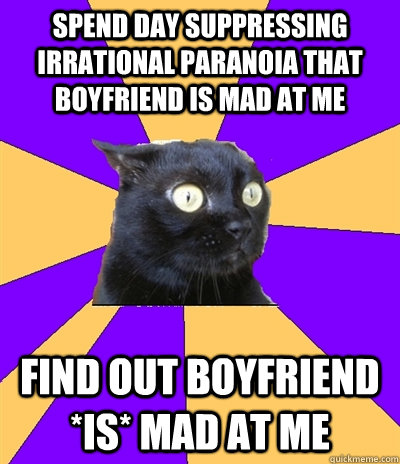 spend day suppressing irrational paranoia that boyfriend is mad at me find out boyfriend *is* mad at me  Anxiety Cat
