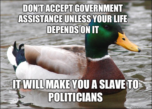 don't accept government assistance unless your life depends on it it will make you a slave to politicians  Actual Advice Mallard