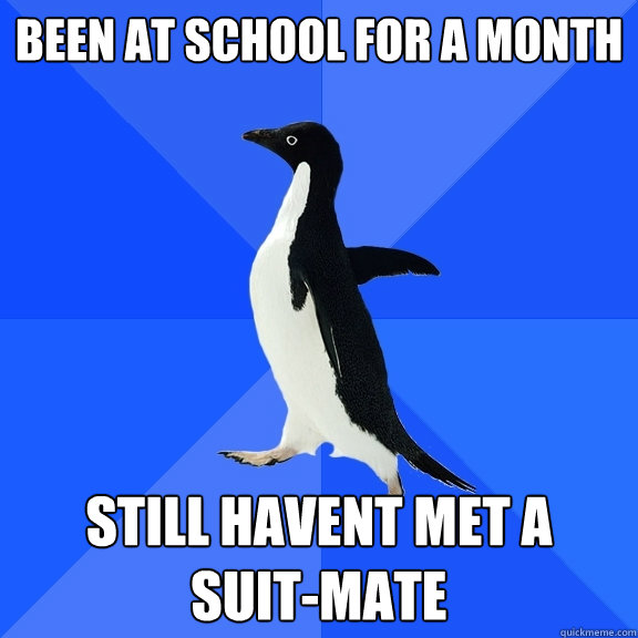 Been at school for a month still havent met a 
suit-mate   Socially Awkward Penguin