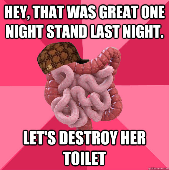 Hey, that was great one night stand last night. Let's destroy her toilet  Scumbag Intestines