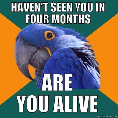 HAVEN'T SEEN YOU IN FOUR MONTHS ARE YOU ALIVE Paranoid Parrot