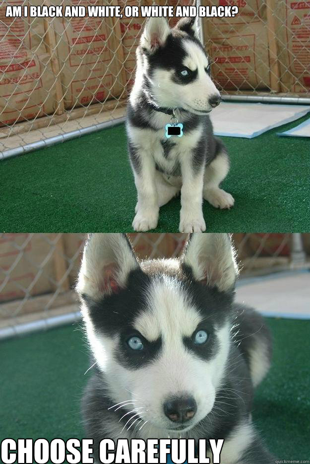 Am i black and white, or white and black? choose carefully  Insanity puppy