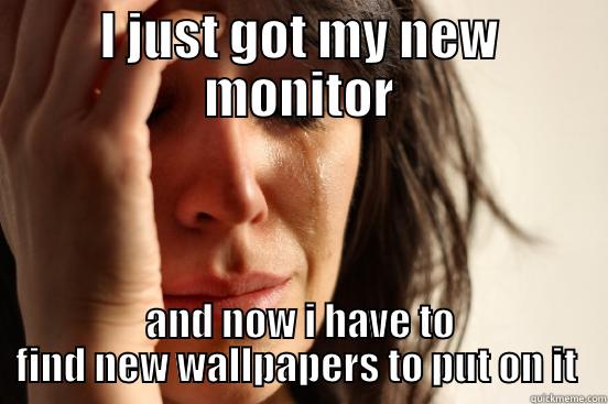 I JUST GOT MY NEW MONITOR AND NOW I HAVE TO FIND NEW WALLPAPERS TO PUT ON IT  First World Problems