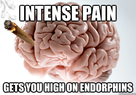 Intense pain Gets you high on endorphins - Intense pain Gets you high on endorphins  Good Guy Brain