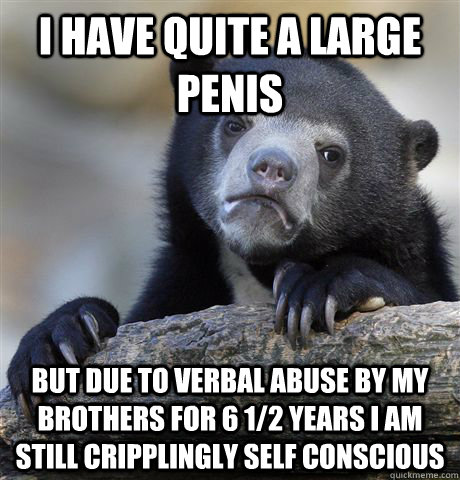 I have quite a large penis But due to verbal abuse by my brothers for 6 1/2 years I am still cripplingly self conscious - I have quite a large penis But due to verbal abuse by my brothers for 6 1/2 years I am still cripplingly self conscious  Confession Bear