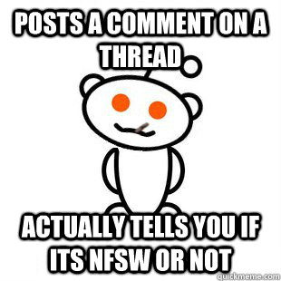 Posts a comment on a thread Actually tells you if its NFSW or not  Good Guy Redditor