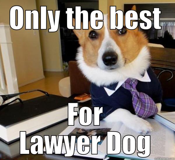 ONLY THE BEST FOR LAWYER DOG Lawyer Dog