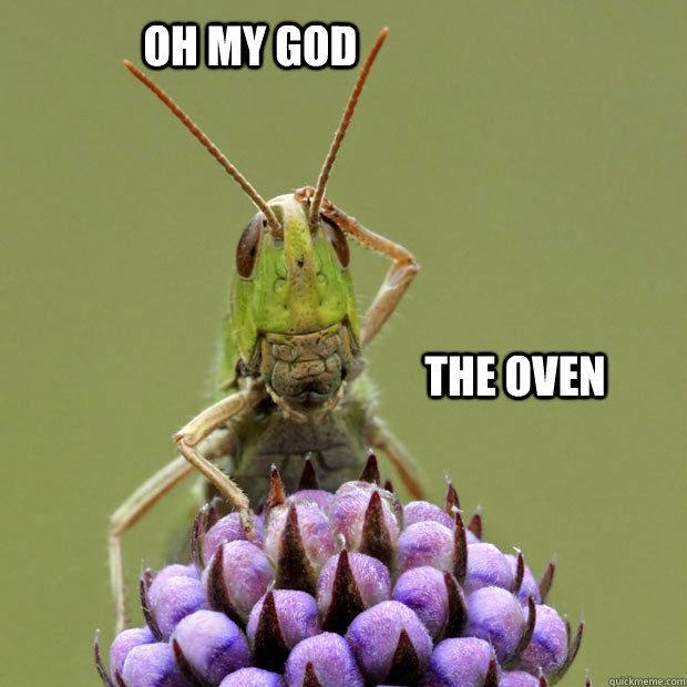 oh my god the oven - oh my god the oven  Confused grasshopper