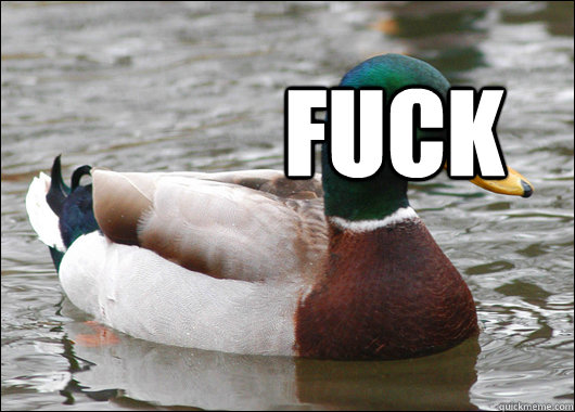 FUCK Women understand women and they hate each other  Actual Advice Mallard