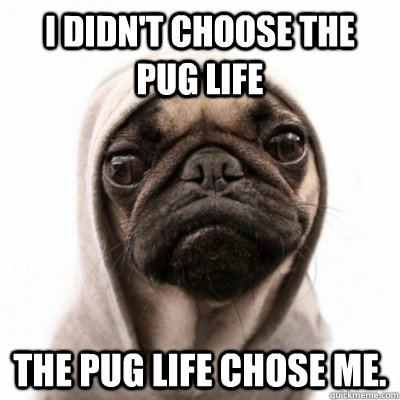 i DIdn't choose the pug life  the pug life chose me. - i DIdn't choose the pug life  the pug life chose me.  the pug life
