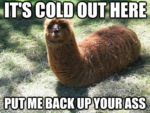 IT'S COLD OUT HERE PUT ME BACK UP YOUR ASS - IT'S COLD OUT HERE PUT ME BACK UP YOUR ASS  Alpacapillar