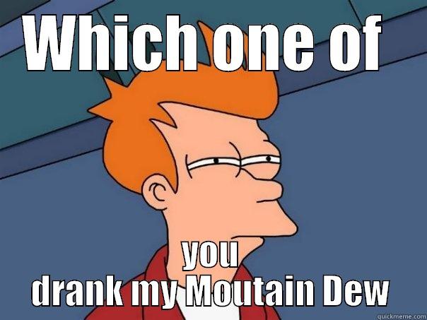WHICH ONE OF  YOU DRANK MY MOUTAIN DEW Futurama Fry