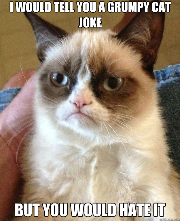 I would tell you a grumpy cat joke but you would hate it - I would tell you a grumpy cat joke but you would hate it  Misc