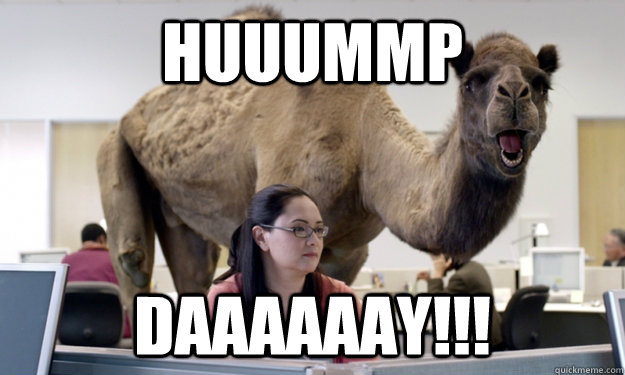 Huuummp daaaaaay!!! - Huuummp daaaaaay!!!  Hump Day Camel