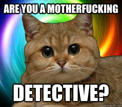 are you a motherfucking detective?  