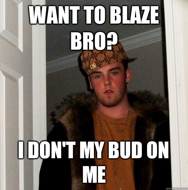 Want to blaze bro? I don't my bud on me  Scumbag Steve