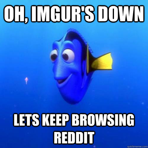 Oh, Imgur's down lets keep browsing reddit  dory