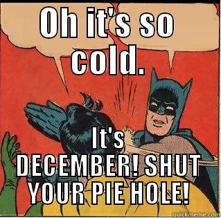 OH IT'S SO COLD. IT'S DECEMBER! SHUT YOUR PIE HOLE! Slappin Batman