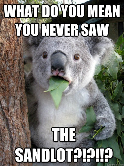 What Do you mean You Never Saw  The Sandlot?!?!!?  Surprised Koala