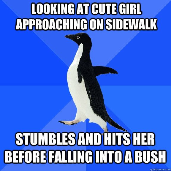 Looking at cute girl approaching on sidewalk stumbles and hits her before falling into a bush  Socially Awkward Penguin