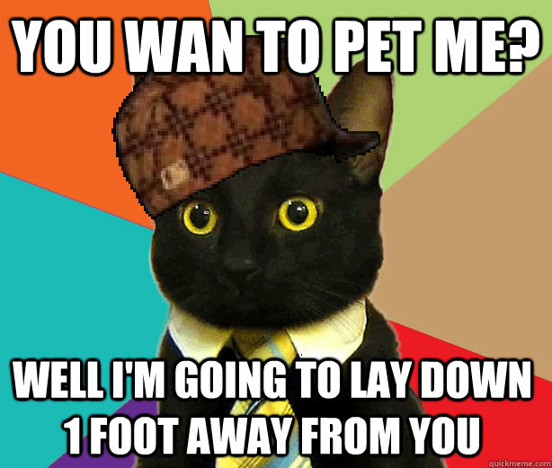 You wan to pet me? Well I'm going to lay down 1 foot away from you   Scumbag Cat