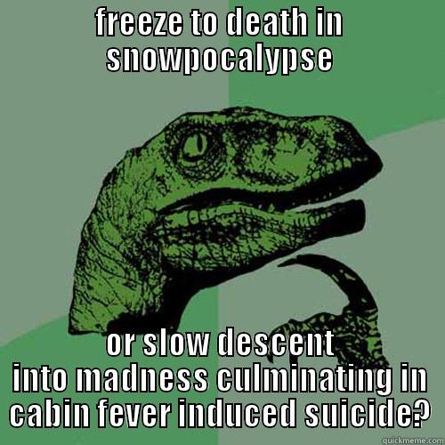 FREEZE TO DEATH IN SNOWPOCALYPSE OR SLOW DESCENT INTO MADNESS CULMINATING IN CABIN FEVER INDUCED SUICIDE? Philosoraptor