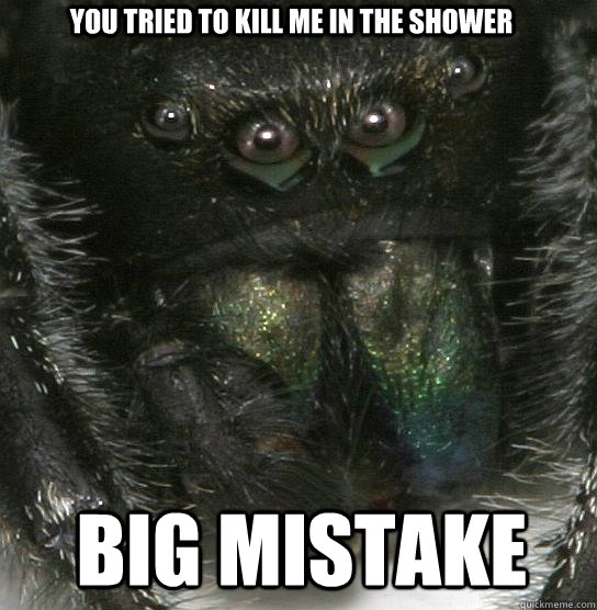 You tried to kill me in the shower big mistake - You tried to kill me in the shower big mistake  Vengeful Spider