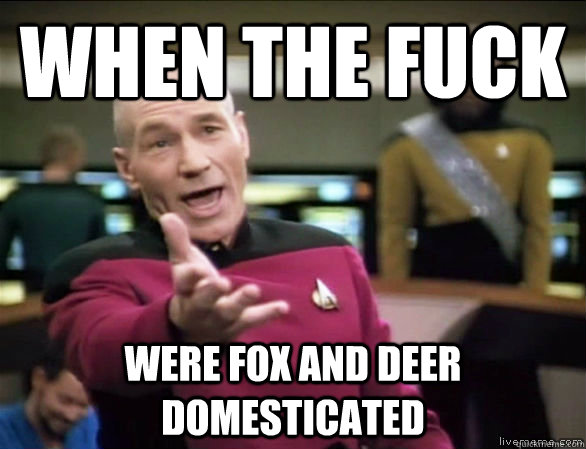 when the fuck were fox and deer domesticated  Annoyed Picard HD