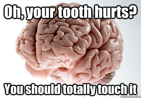 Oh, your tooth hurts? You should totally touch it  - Oh, your tooth hurts? You should totally touch it   Scumbag Brain