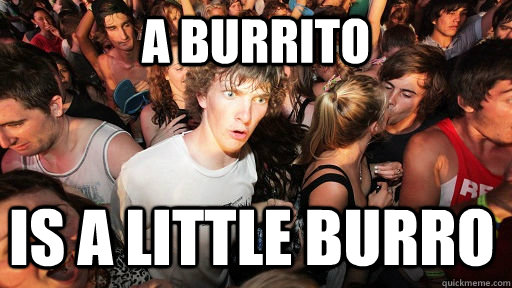 A Burrito Is a little burro  Sudden Clarity Clarence