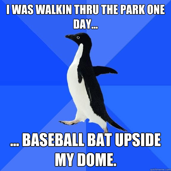 i was walkin thru the park one day... ... baseball bat upside my dome.  Socially Awkward Penguin