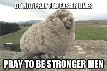 Do not pray for easier lives Pray to be stronger men - Do not pray for easier lives Pray to be stronger men  Shrek the Sheep