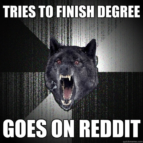 Tries to finish degree goes on reddit  Insanity Wolf