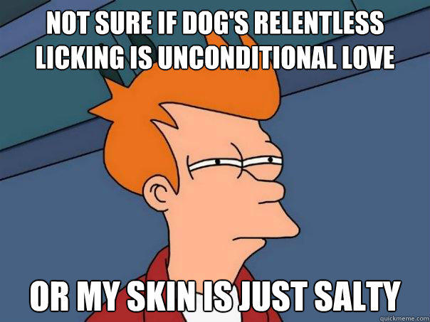 Not sure if dog's relentless licking is unconditional love Or my skin is just salty  Futurama Fry